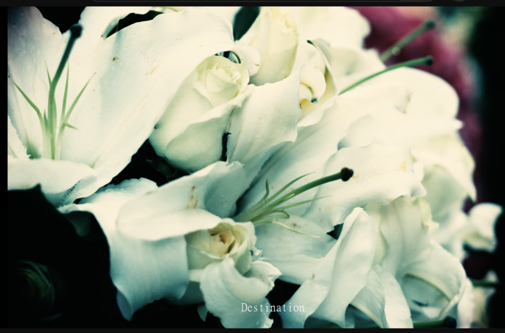 Cover photo of "Destination"