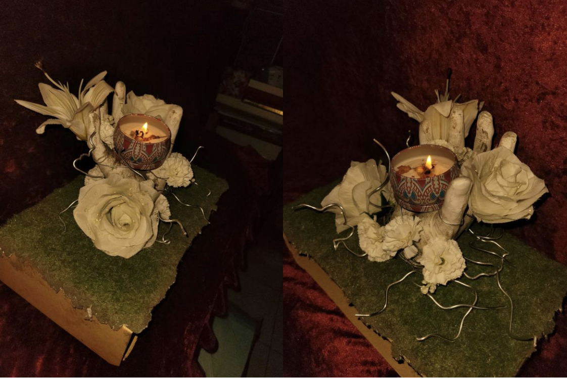 Amare-A Multisensory Installation about Life, Death, and Love