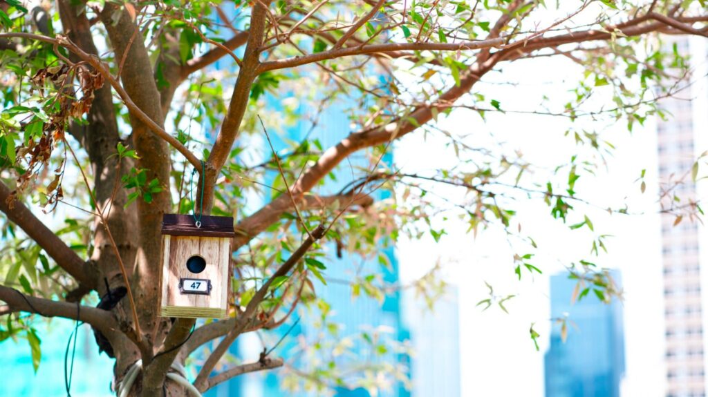 A birdhouse hanging on a tree in Memorial Birdsongs